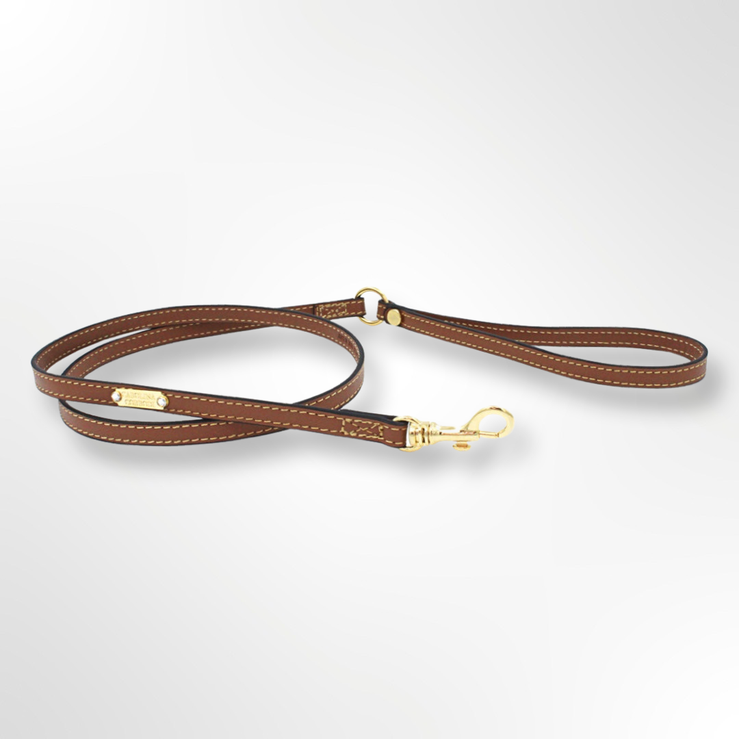 Louis Vuitton Hundeleine Dog Leash