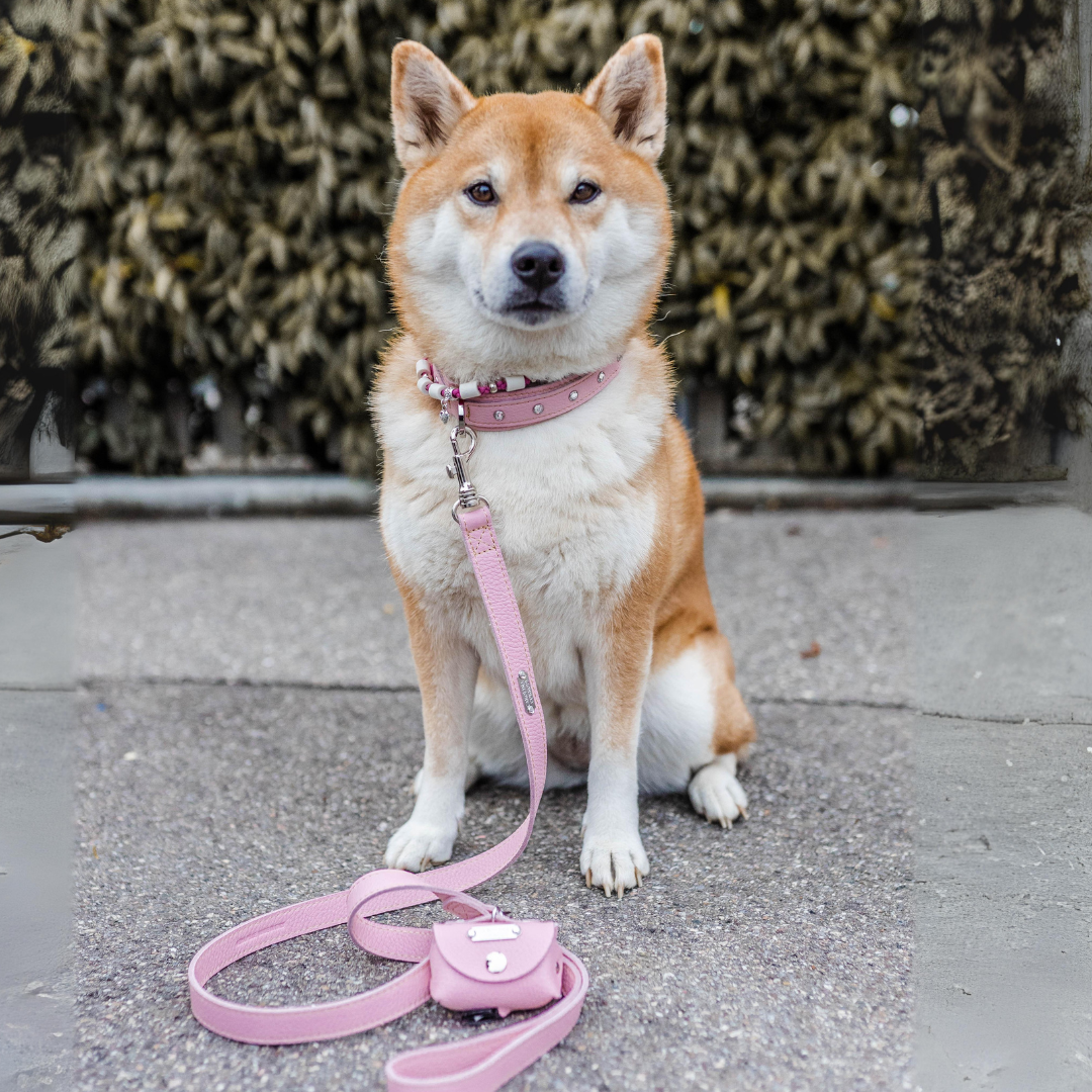 hundeleine in rosa aus leder mit hundehalsband in rosa und kotbeutelspender