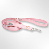 lederleine rosa carolina corrodi