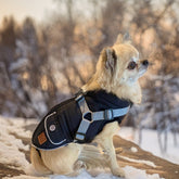 hundemantel mit geschirr und chihauaha