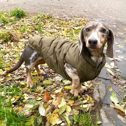 Dog coat Kitzbühel dark green for dogs with dachshund lengths