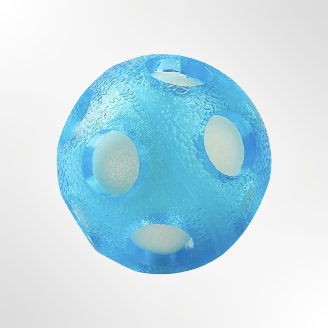 Dog toy - water ball