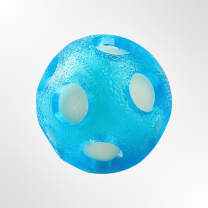 Dog toy - water ball