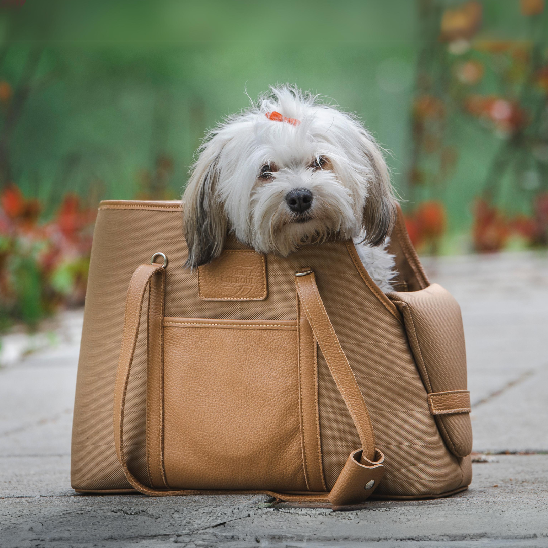Small hoh dog tote purse