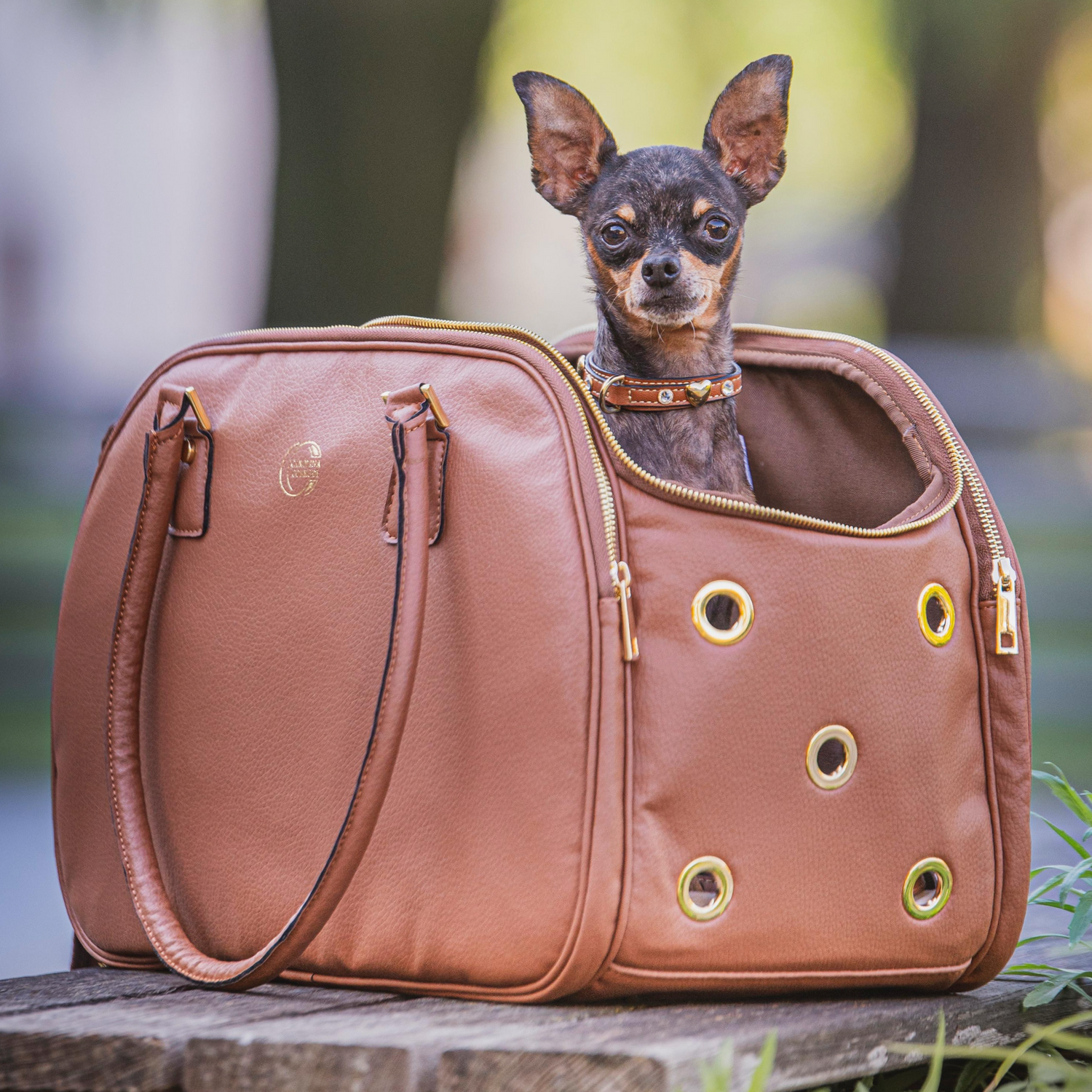 Hundetasche Chicago (Reisetasche, Flugzeug)