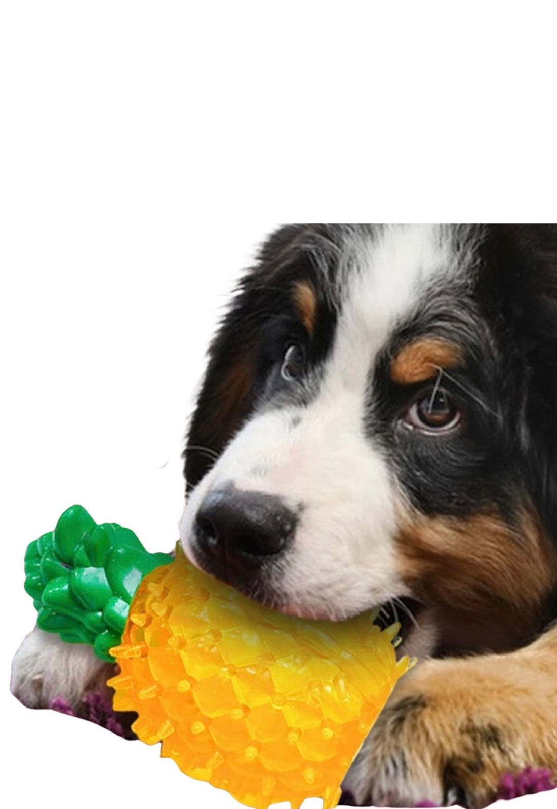 Dog Toy - Cooling Chew Toy Pineapple