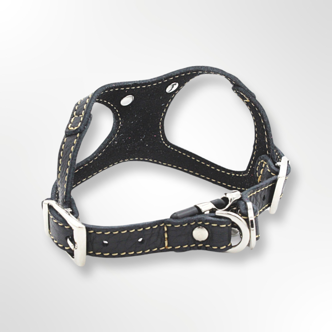 Cape Town Leather Harness Silver Edition with crystals