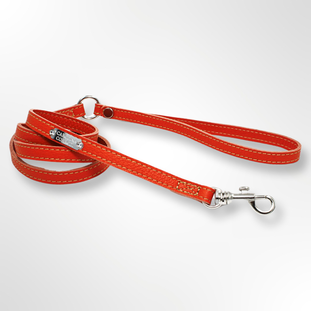 Dog Leash Leather with crystals Silver Edition orange