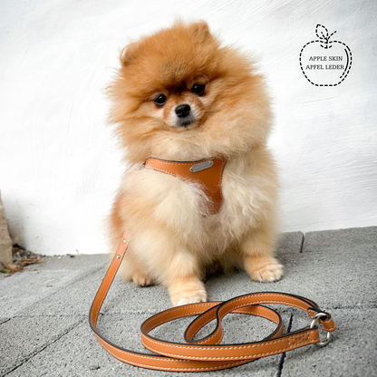 Apple leather dog harness