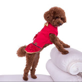 Hundepullover - Hundekleid Austin Grösse 4