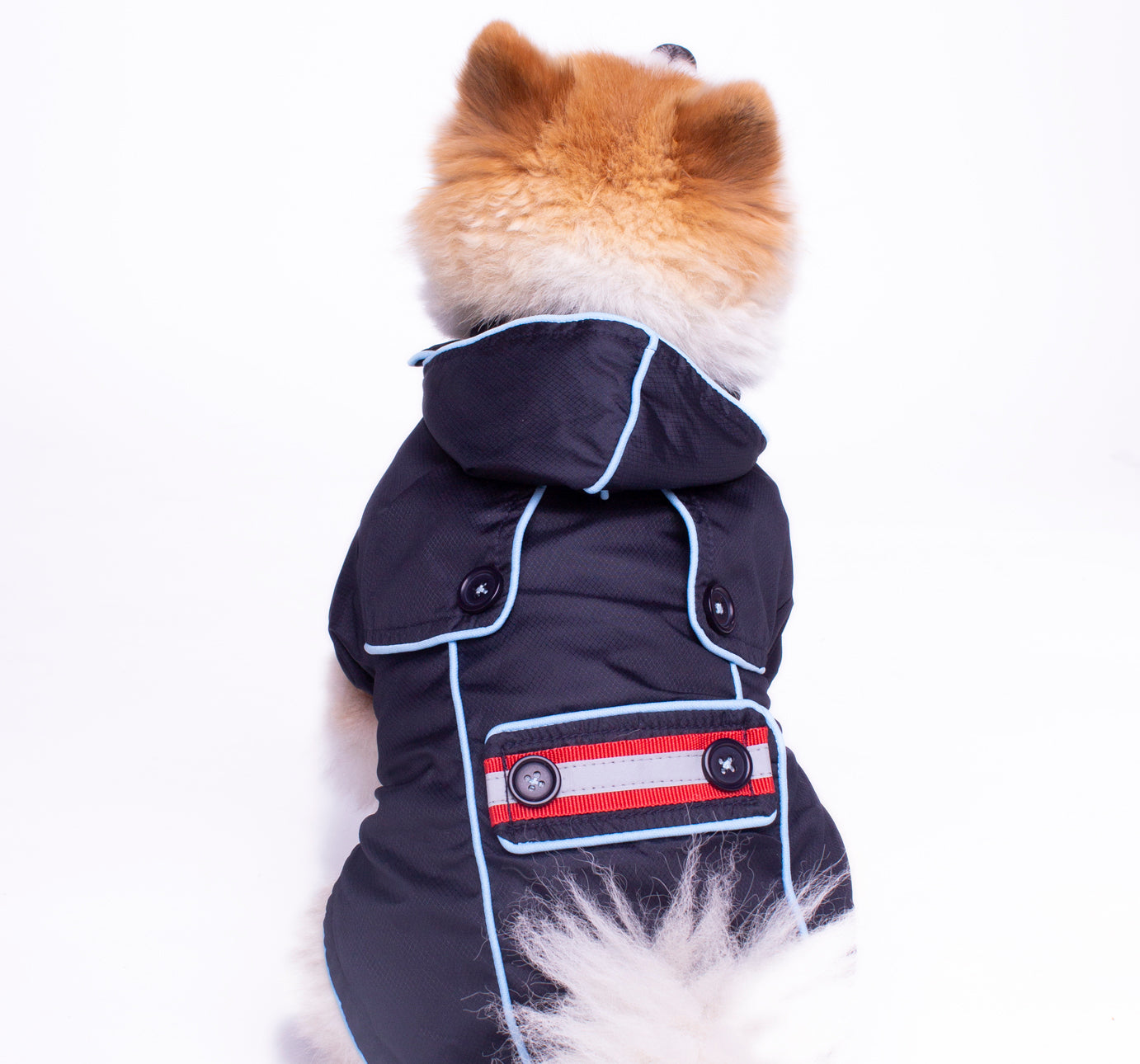 Brighton Dog Raincoat