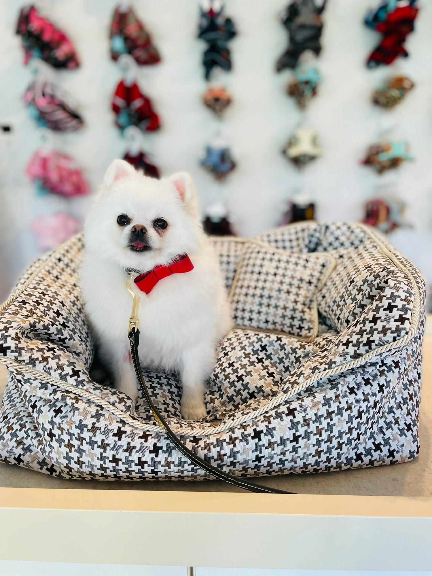 Dog bed Barcelona