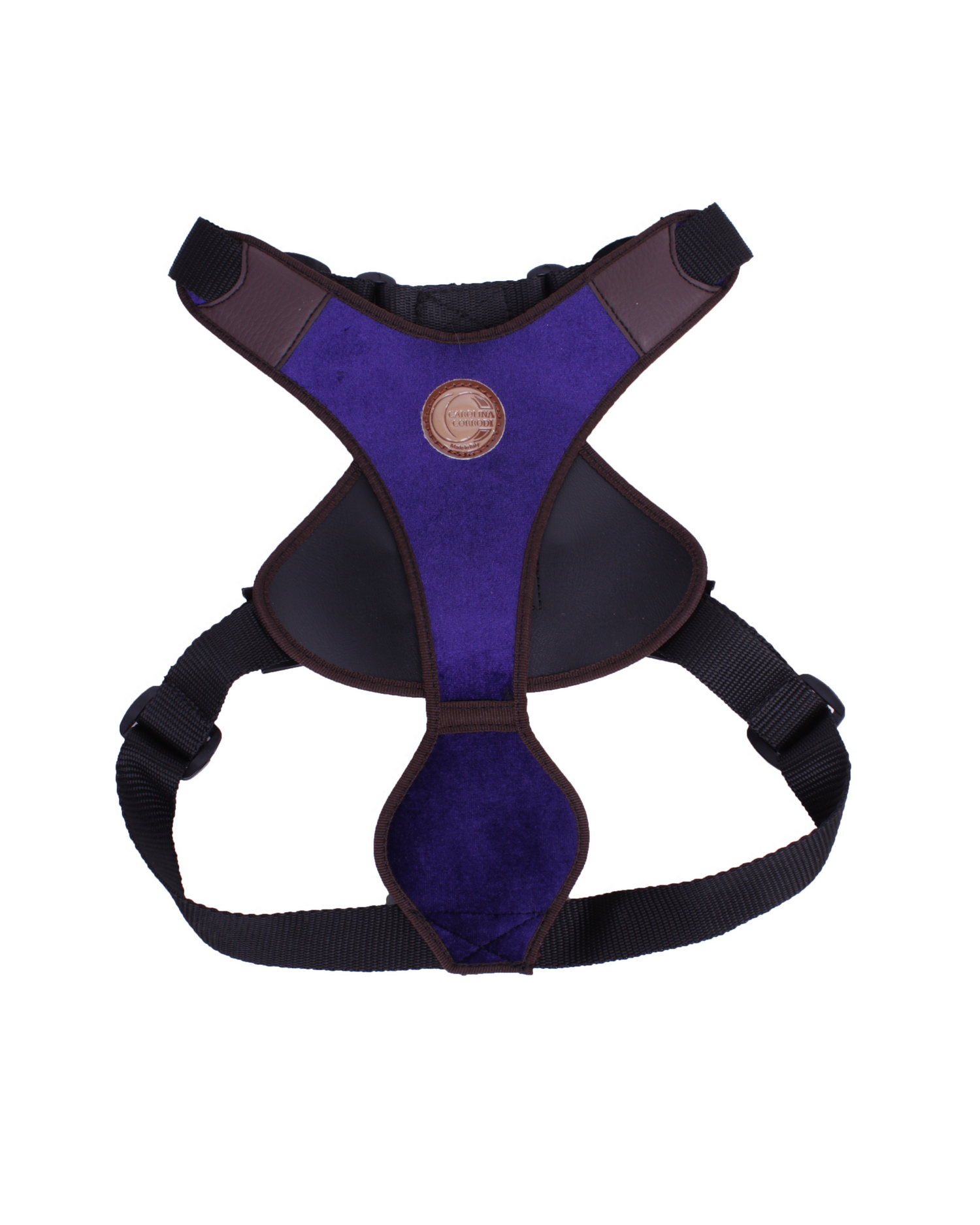 Dog harness with matching leash