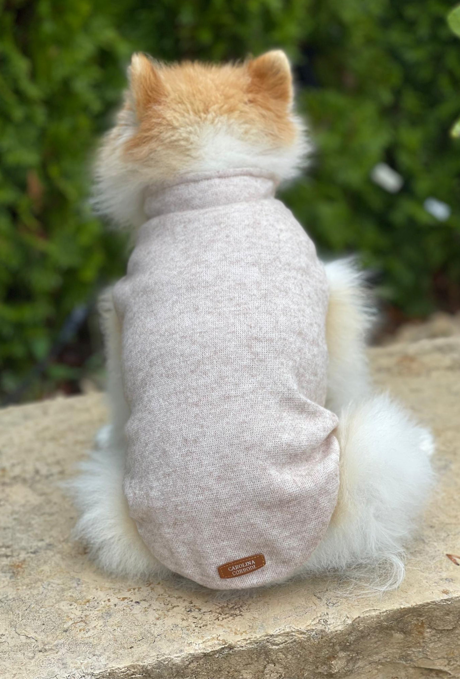 Pull en best sale poil de chien