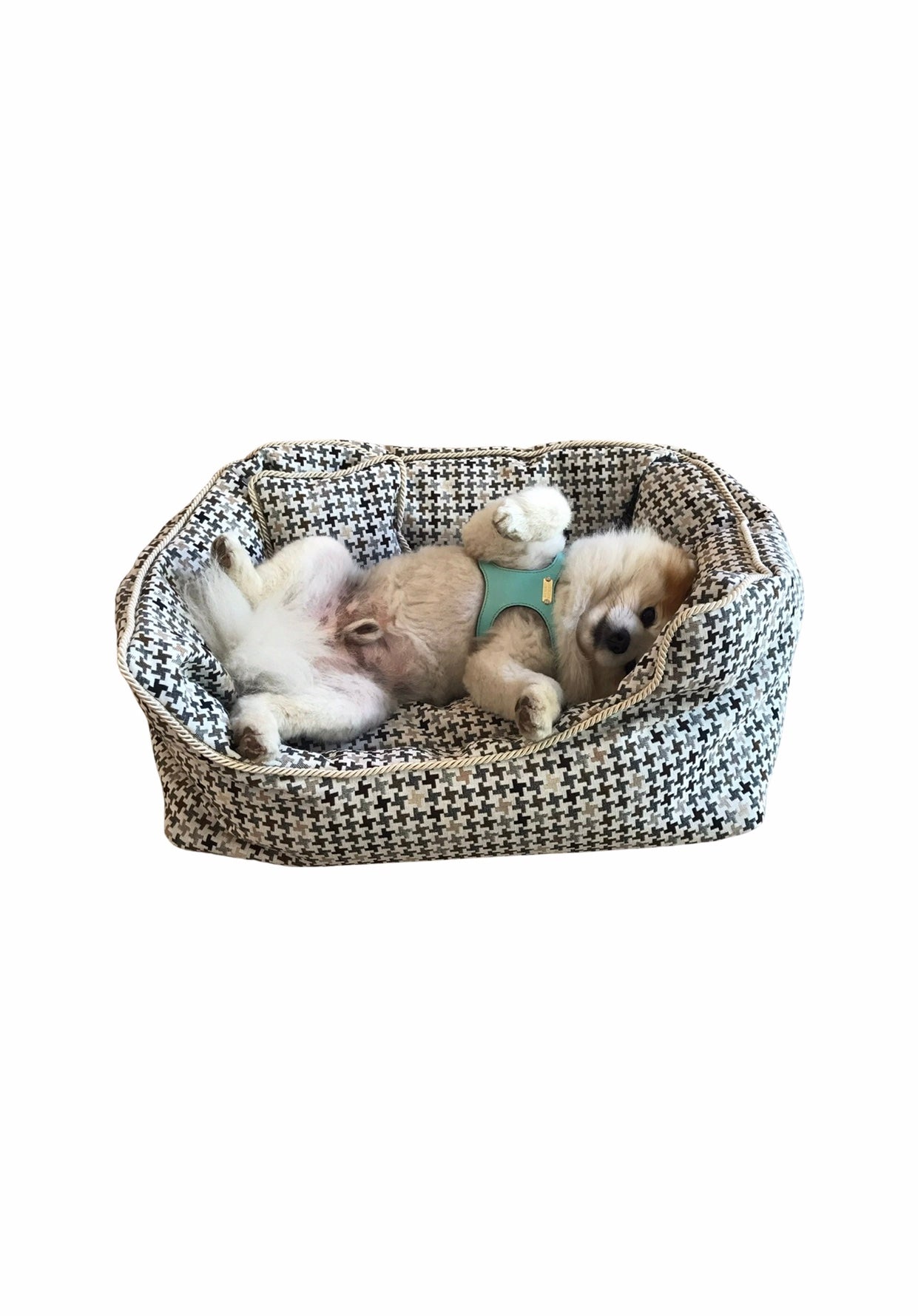 Dog bed Barcelona