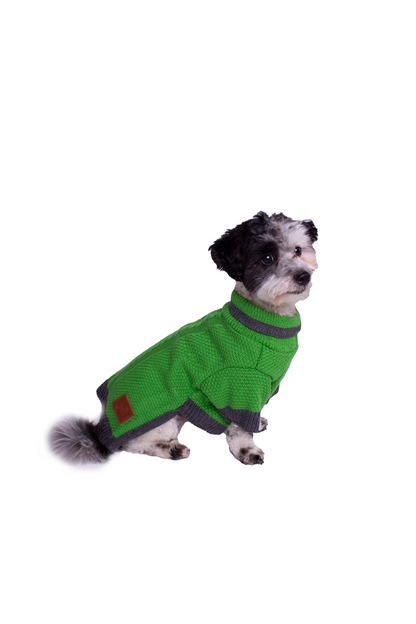 Dog sweater knitted Montpellier
