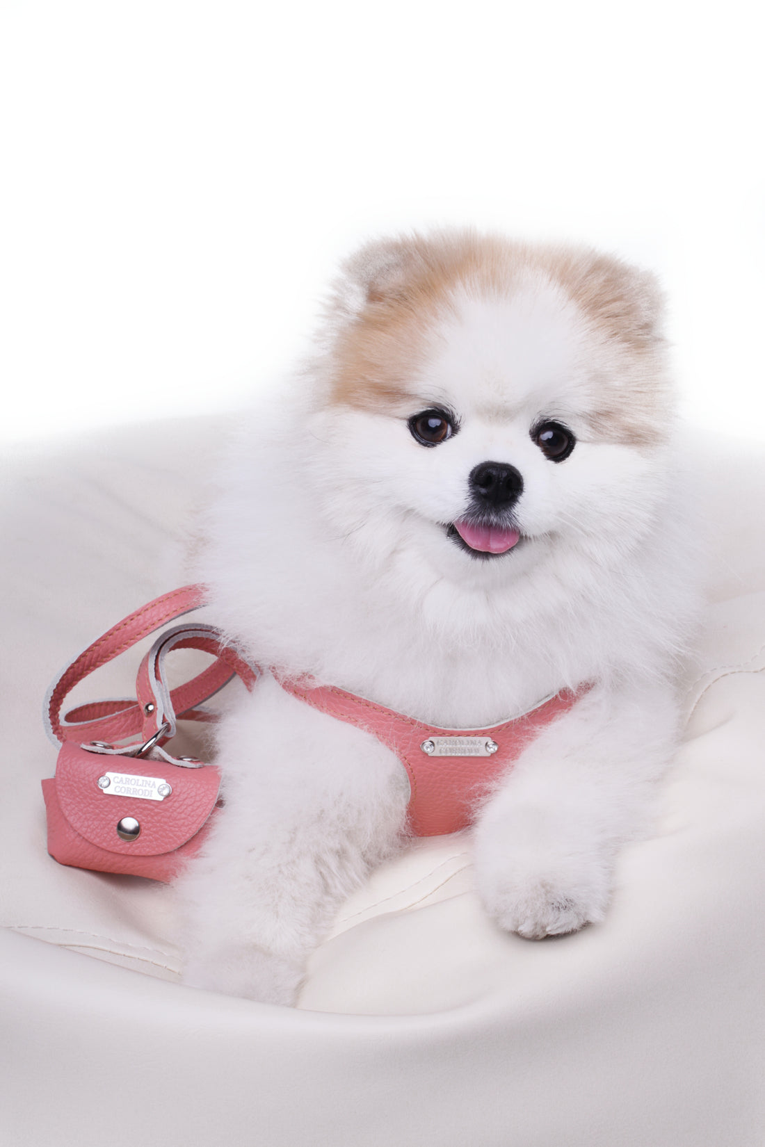 Hundegeschirr