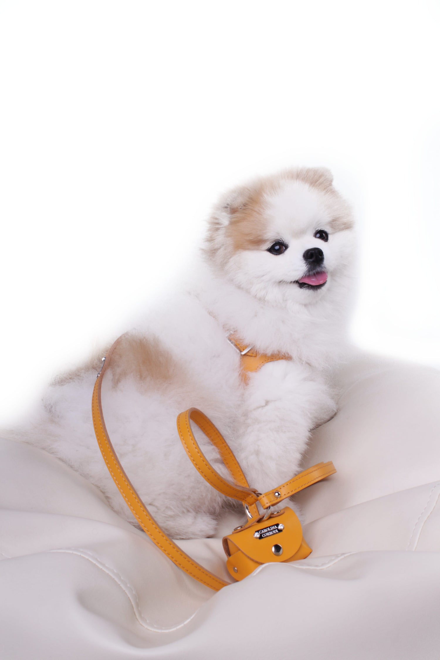 Dog harness leather step-in Silver Edition Genua