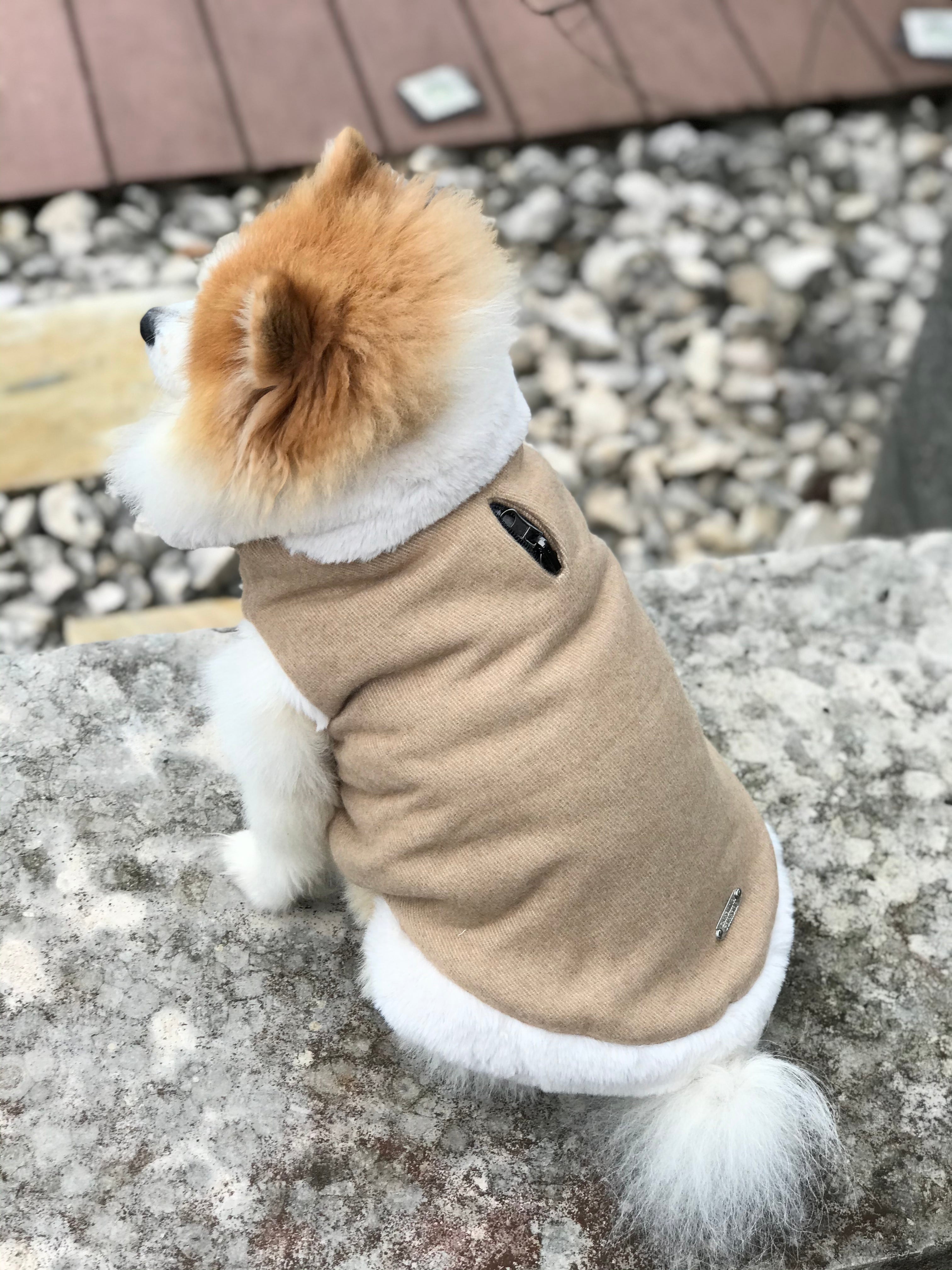 St.Moritz dog coat 2 in 1 (reversible coat)
