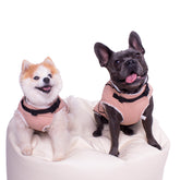 Hundemantel Windsor (Grösse 6)