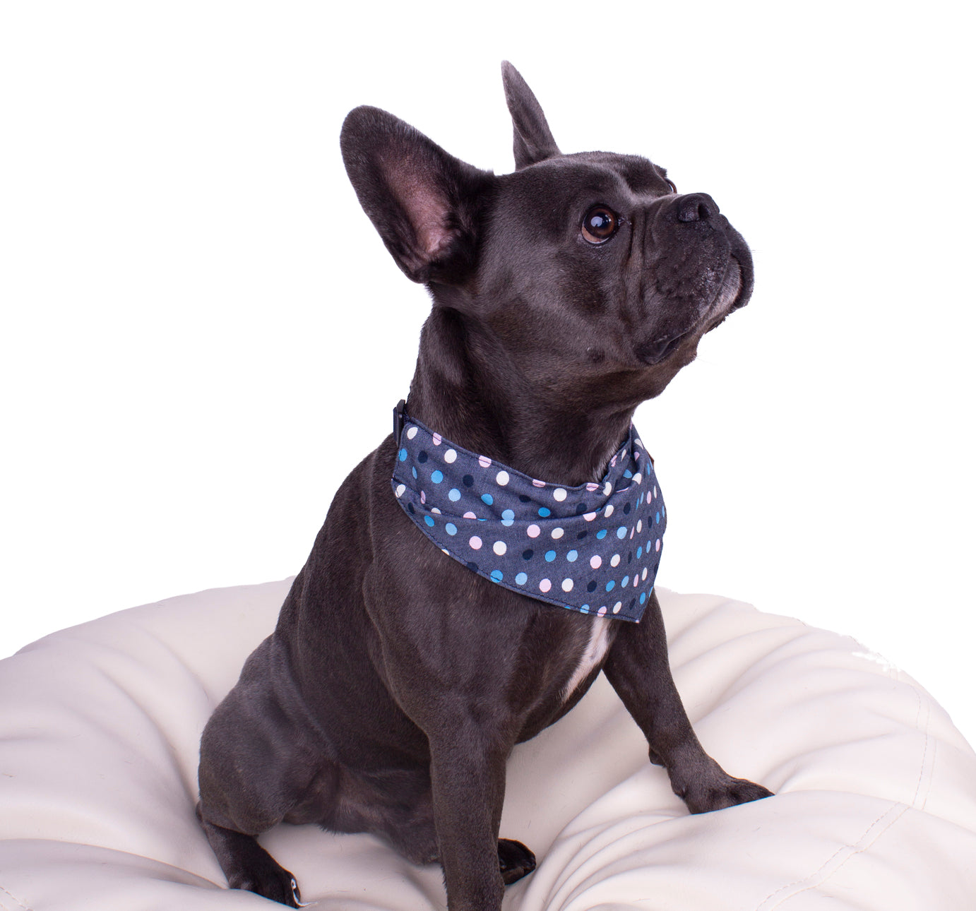 Hundehalstuch - Bandana Hope (dient als Halsband; Hundeleine direkt am Bandana befestigen)