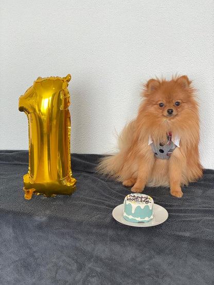 Dog cake (baby cake, blue)