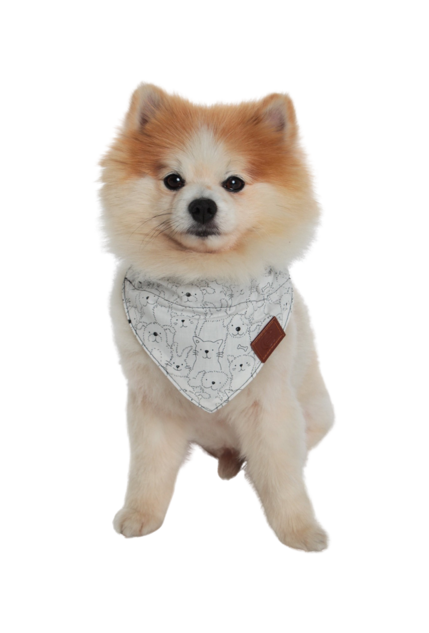 Alaska Bandana (serves as collar; attach dog leash directly to bandana)