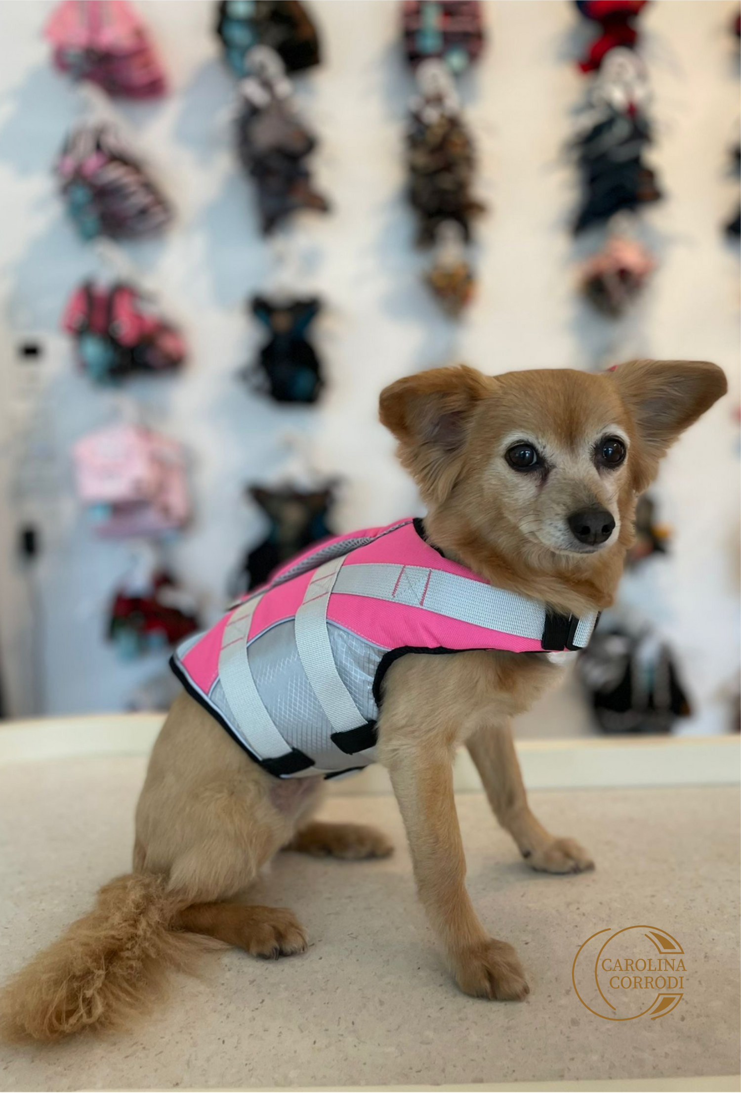 Dog life jacket / float coat