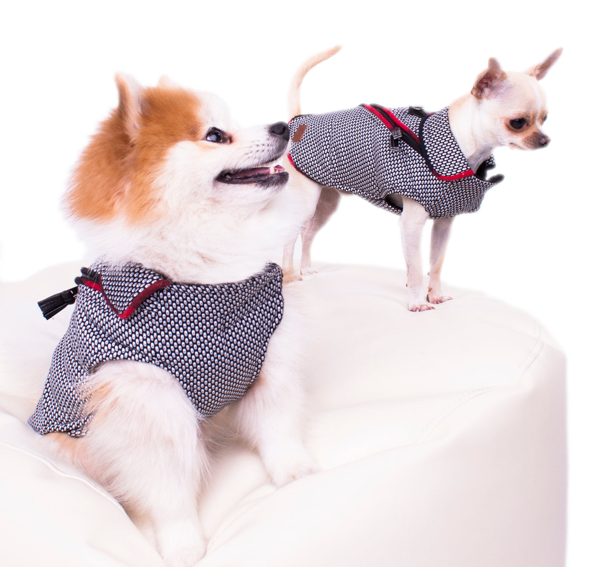 Hundemantel Lissabon (für Hund zwischen 4.9kg - 6kg)